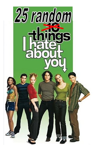 [25 random things I hate about you movie poster]