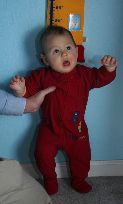 Sammy at 7 months, April 17, 2006, Mountain View, CA; photo by Kimi Winters