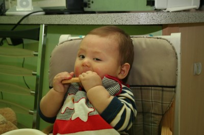 Sammy consumes his first biscuit, with a sly wink; Mountain View, CA, March 30, 2006