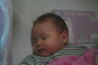 Sammy sleeping, Mountain View, CA, March 16, 2006