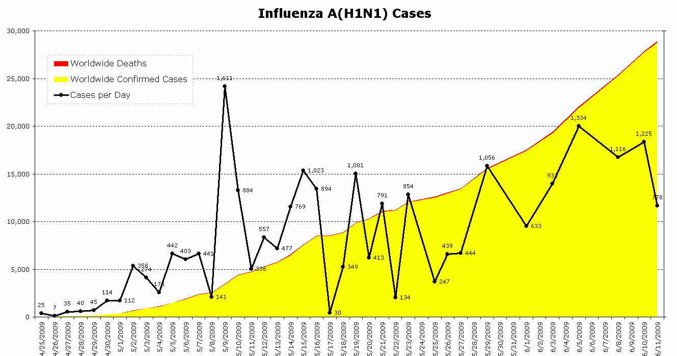 Essay on swine flu 2009