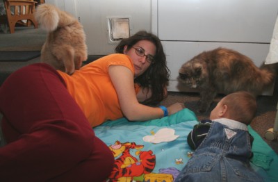 Yvonne, Sammy, Stormy, Mourny, Tigger