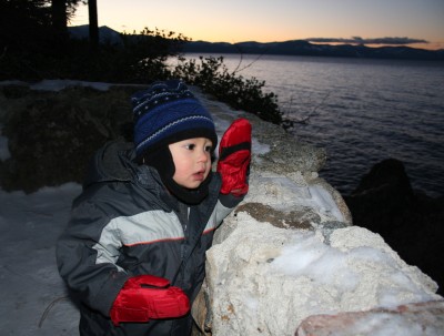 Sammy looking at the snow near sunset, Zephyr Cove (near Lake Tahoe), NV, January 14, 2007