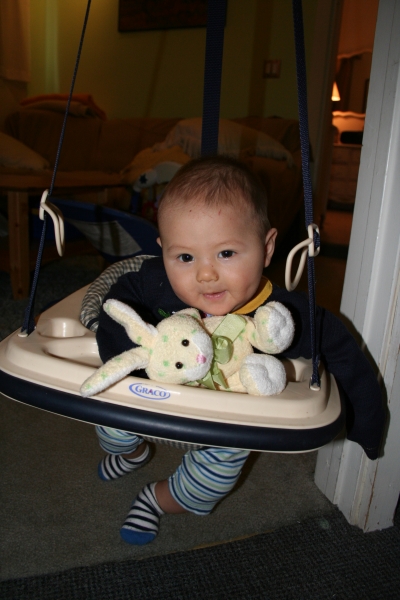 Sammy in his Johnny Jumper; some early morning calisthenics