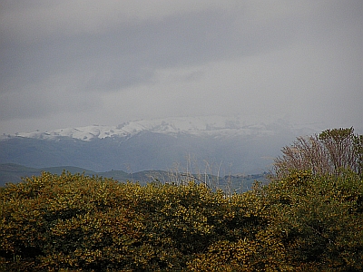 Snow, in California, on the hills east of Milpitas. Photo taken in March 2006 at TiVo HQ by Rich Thomas of Sad Salvation