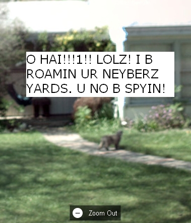 [Image of Stormy via Google Street Maps, Mountain View, CA, unknown date, with caption added: 