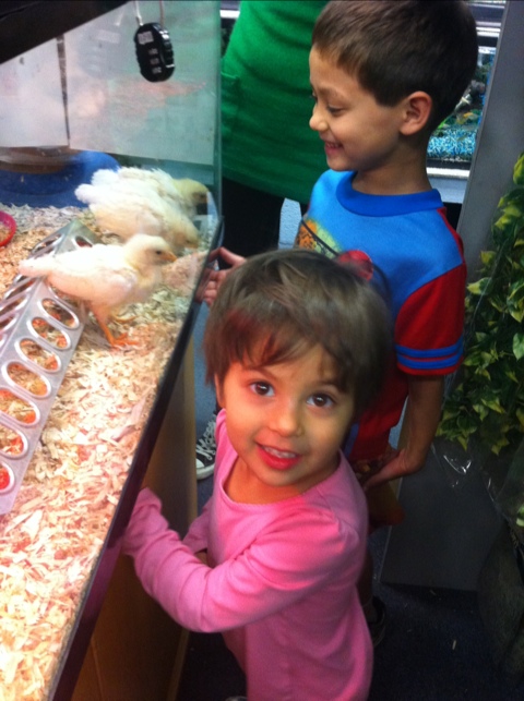 20110508-013502.jpg