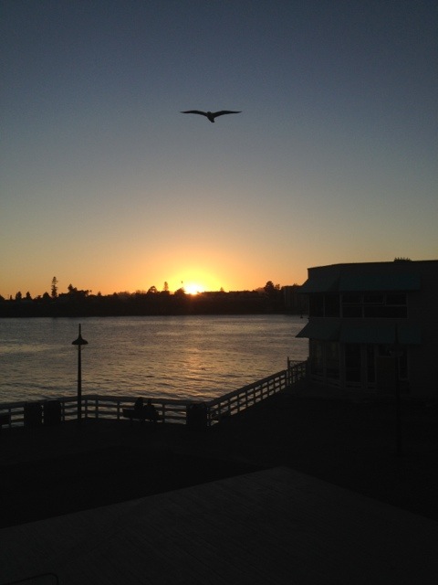 20120426-125928.jpg
