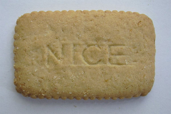 nice_biscuit.jpg